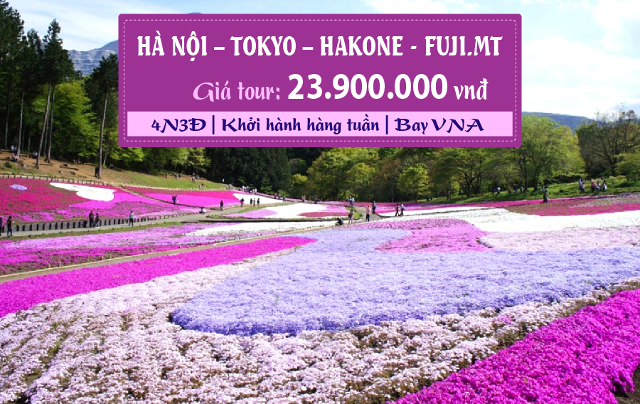 NB18. (4N3Đ) Hà Nội | Tokyo | Hakone | Fuji.Mt