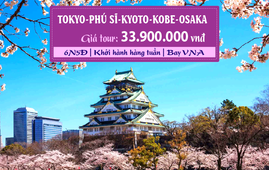 NB20. (6N5Đ) Tokyo | Phú Sĩ | Kyoto | Kobe | Osaka